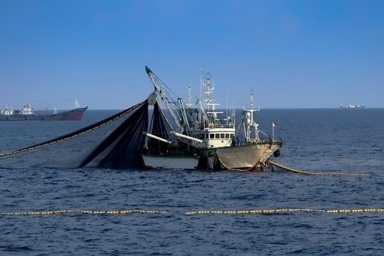 Jenis Alat Tangkap yang Dilarang dan Dampaknya bagi Laut Indonesia